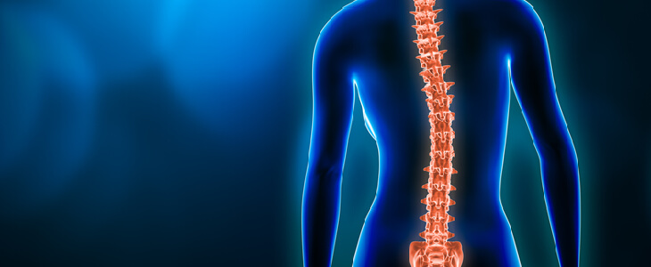 spinal cord injury visual